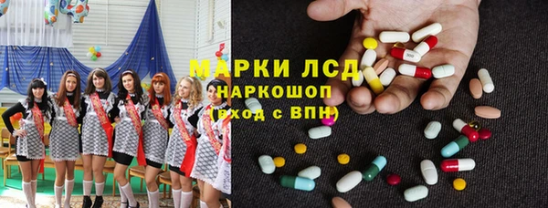 крисы Алзамай
