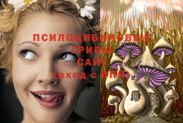 круглые Алексеевка