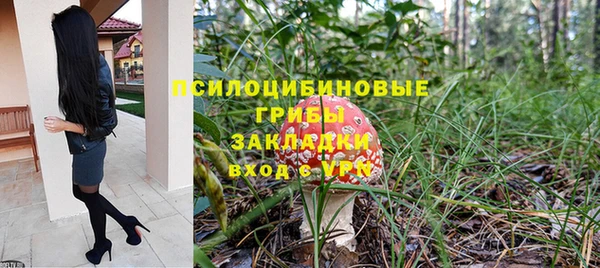 крисы Алзамай